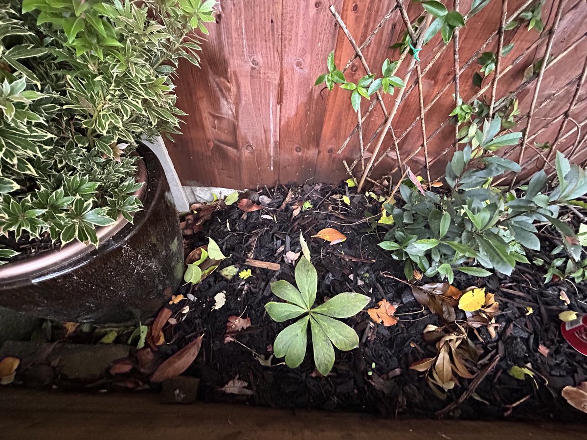 Kate Gordon tweet media