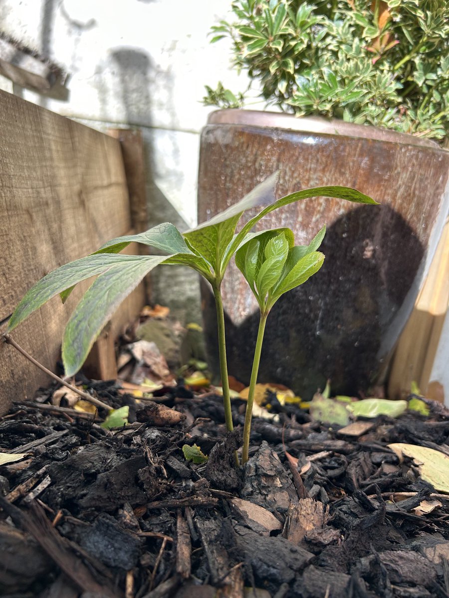 Kate Gordon tweet media