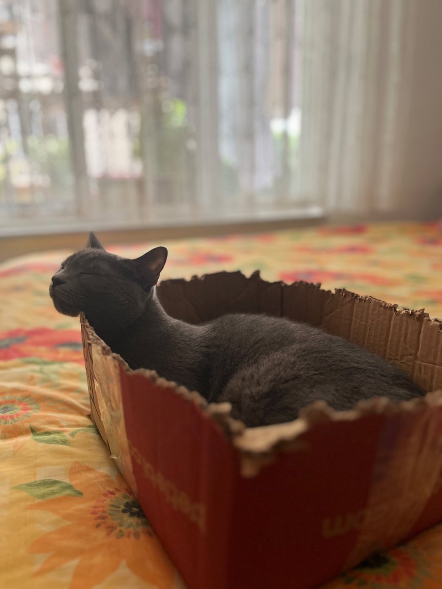 Değişik bir tarzı var 😃
#Asuman