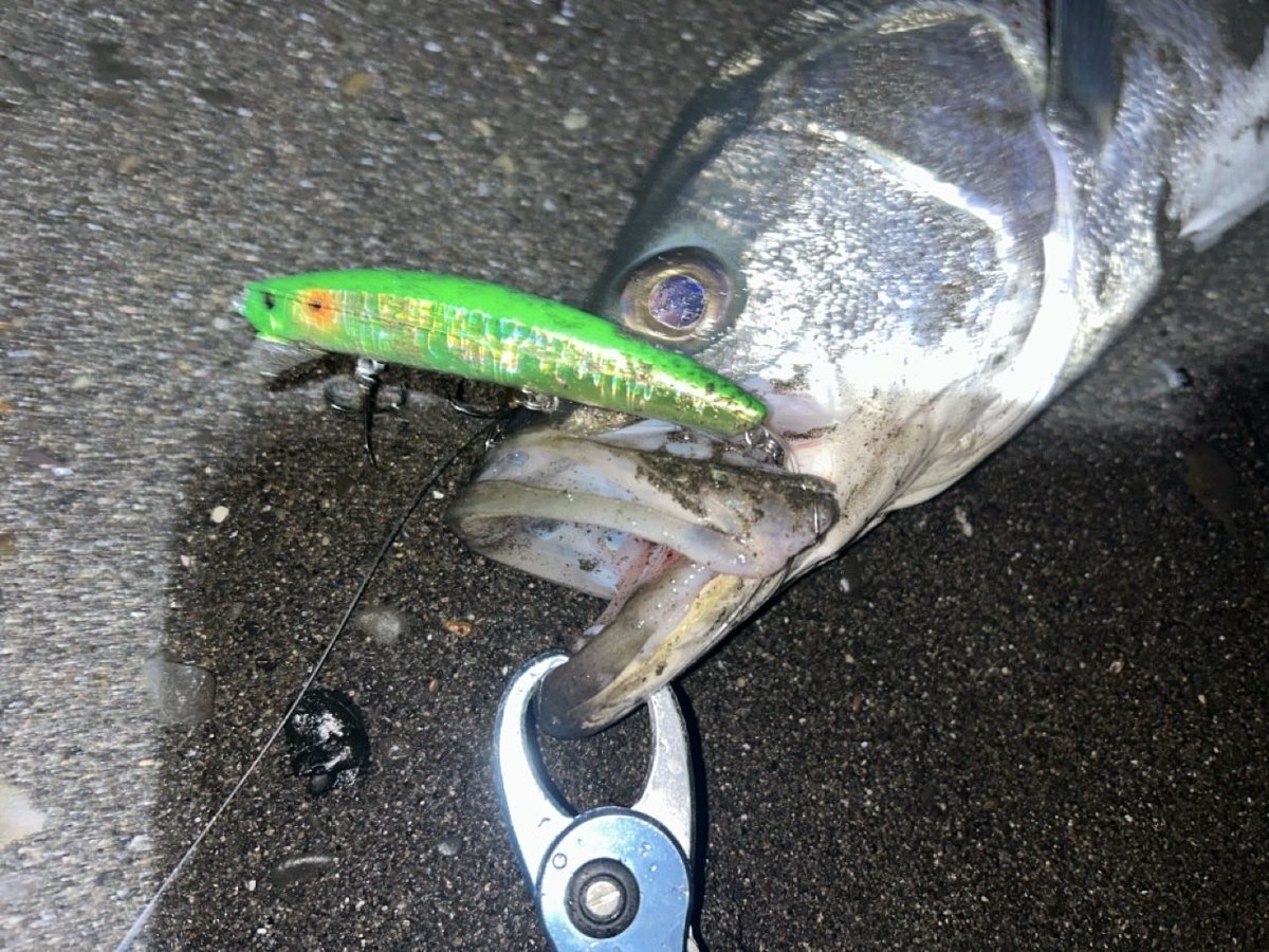 ジョン大佐 on X