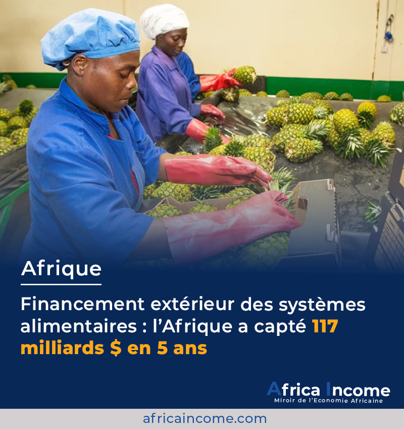 Entre 2018 et 2023, l’#Afrique a reçu 117 Mds $ pour ses systèmes alimentaires (rapport #FIDA &amp; #BanqueMondiale).
➡️ +19 % d’investissements en 5 ans
Répartition :
39 % agriculture &amp; chaînes de valeur
23 % infrastructures
23 % aide sociale
11 % environnement
4 % nutrition
Afrique