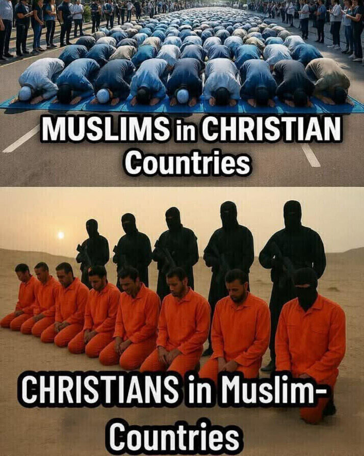 <a href="/MattWalshBlog/">Matt Walsh</a> Accurate 👇🏻
