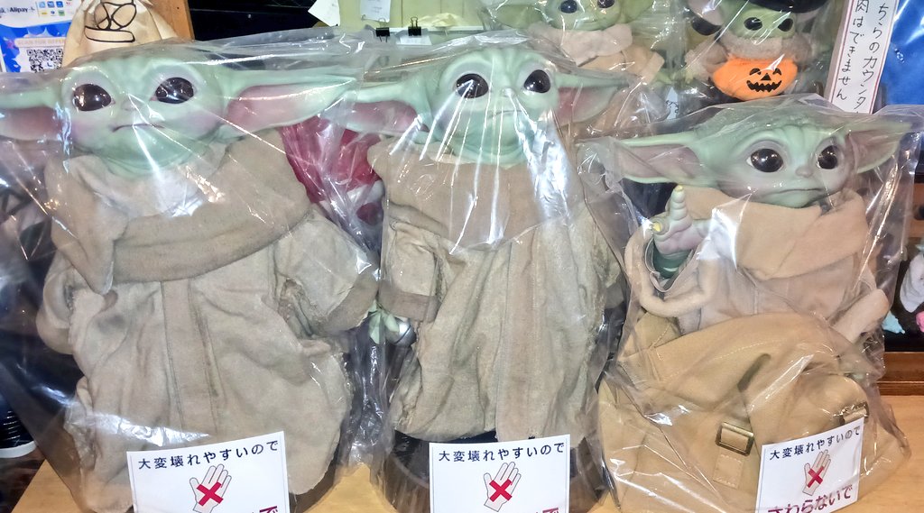 可愛い
ぜひ見に来てこの子達❤