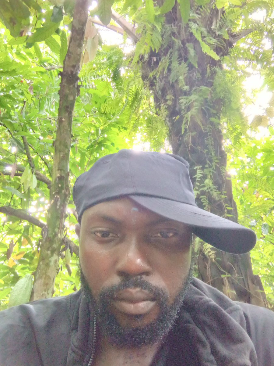 Cocoaworld02's tweet image. Proverbs 22 v 29
#cocoafarmer
#cocoabuyer