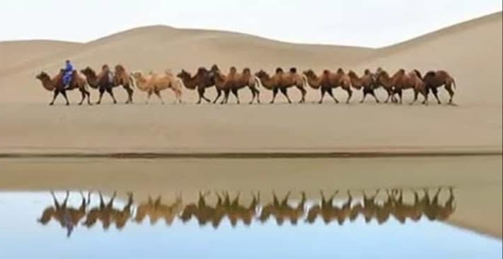 Ganzorig chuluunbor (@ganzooch) on Twitter photo 