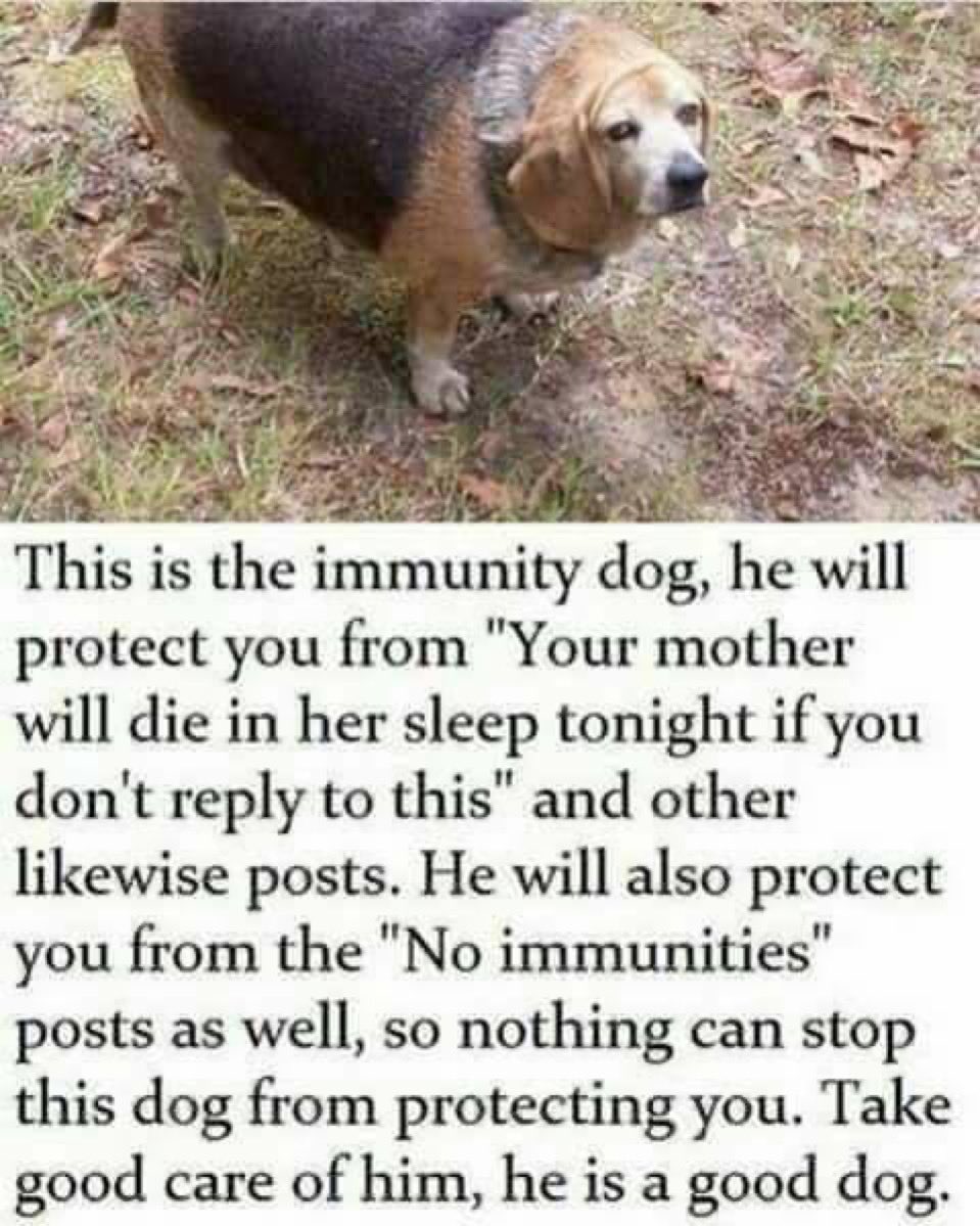 CW 🇺🇸🇨🇳 tweet media