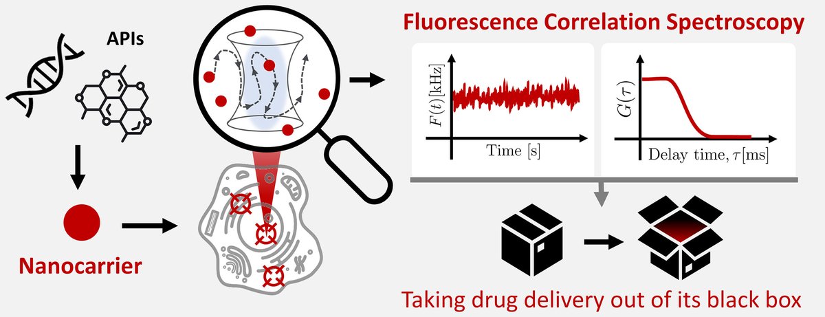 [Perspective] Unravelling drug delivery using in vitro Fluorescence Correlation Spectroscopy.
| Bas G.P. van Ravensteijn <a href="/UUUIPS/">Utrecht Institute for Pharmaceutical Sciences</a> | <a href="/CRSBeNeLuxFr/">CRS BeNeLux & France Local Chapter</a> 
[Open Access]
#FluorescenceCorrelationSpectroscopy #LiveCellAanalysis
kwnsfk27.r.eu-west-1.awstrack.me/L0/https:%2F%2…
