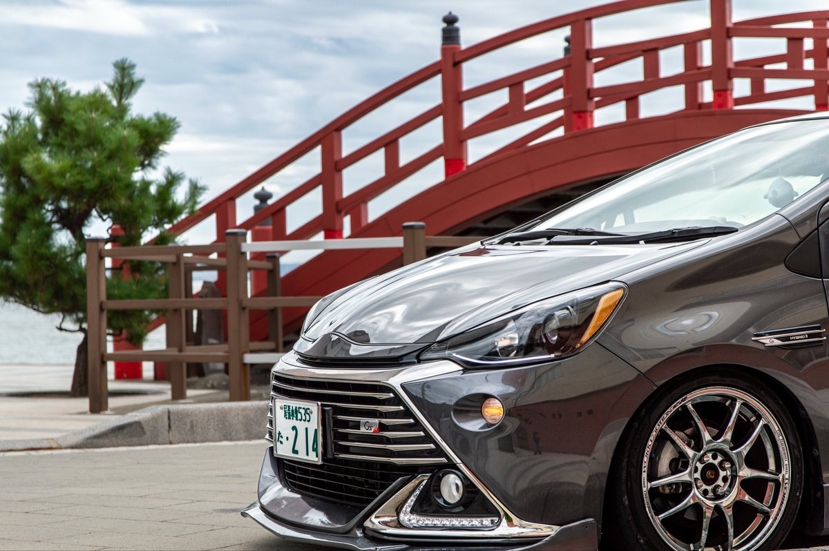 めーでん tweet media