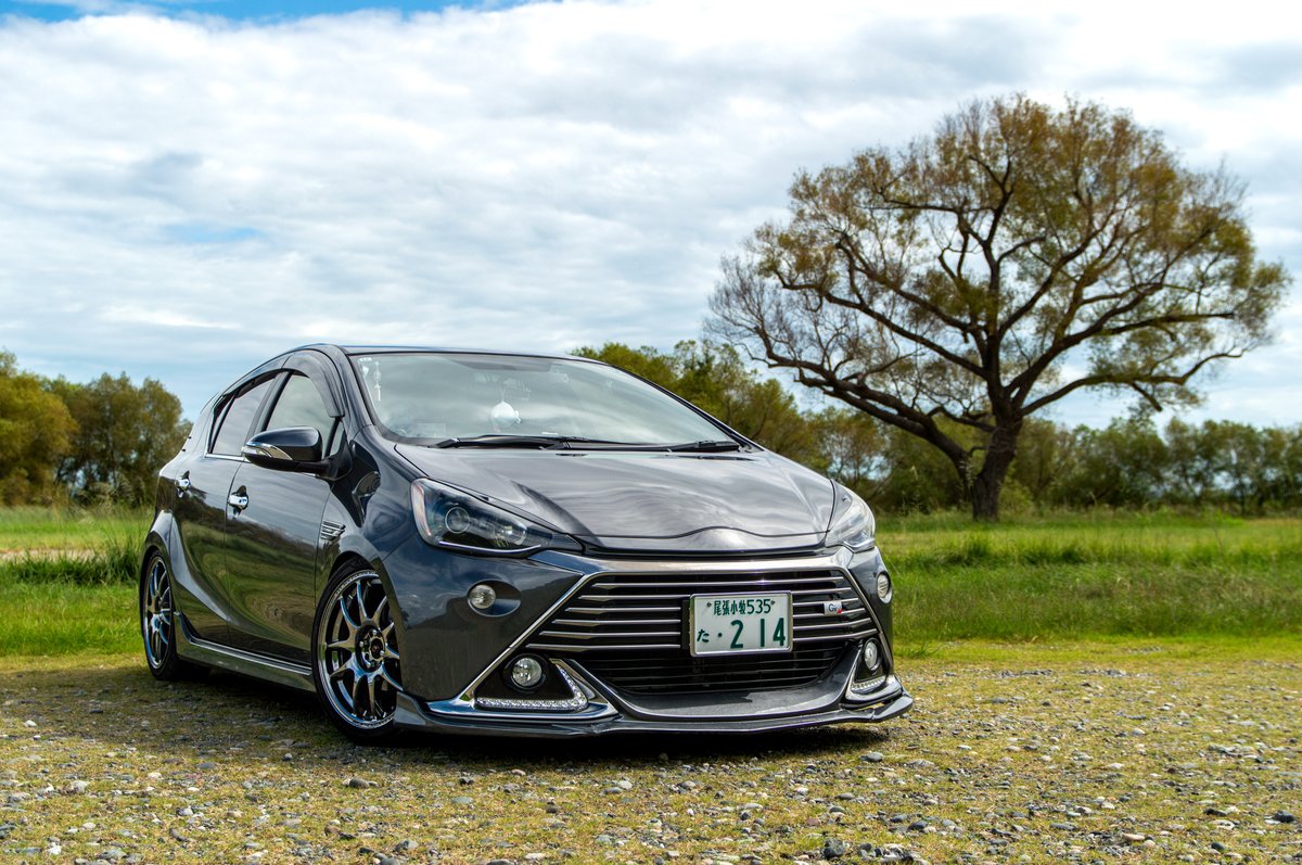 めーでん tweet media