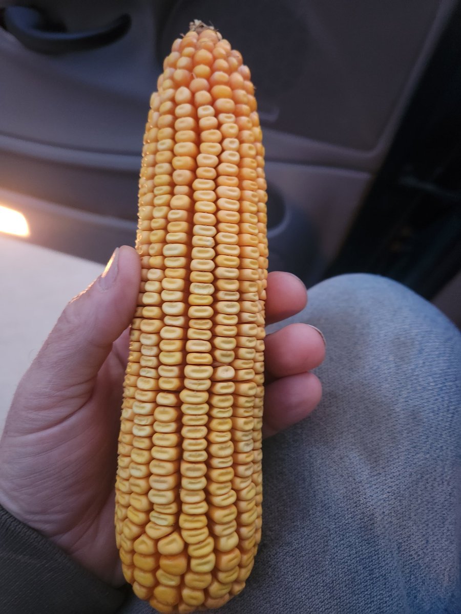 Jim Smith tweet media