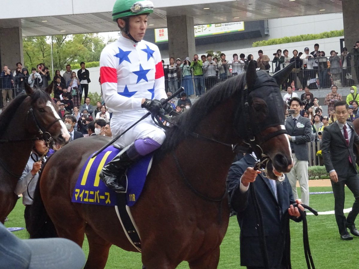 芦毛ちゃん@競馬垢 on X