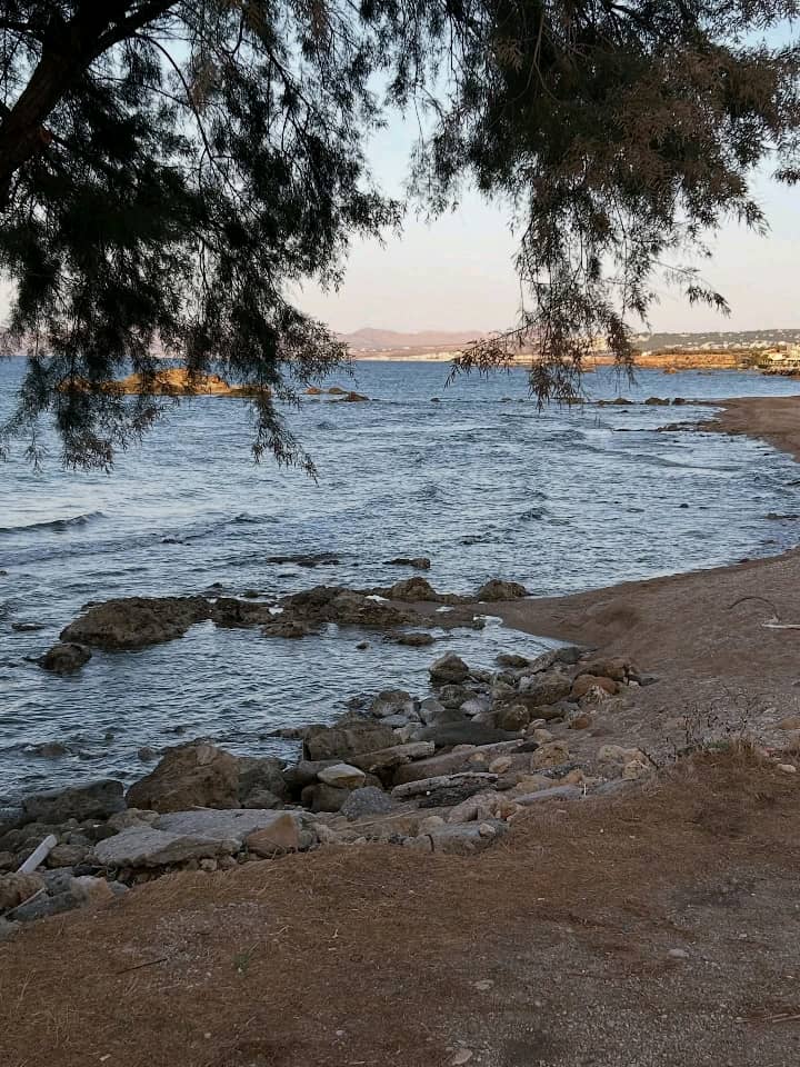 EmilyFlore24228's tweet photo. I'm sitting on the balcony, it's raining and I remember how beautiful it was... 🇬🇷😜 https://t.co/BEkwMNuzm3