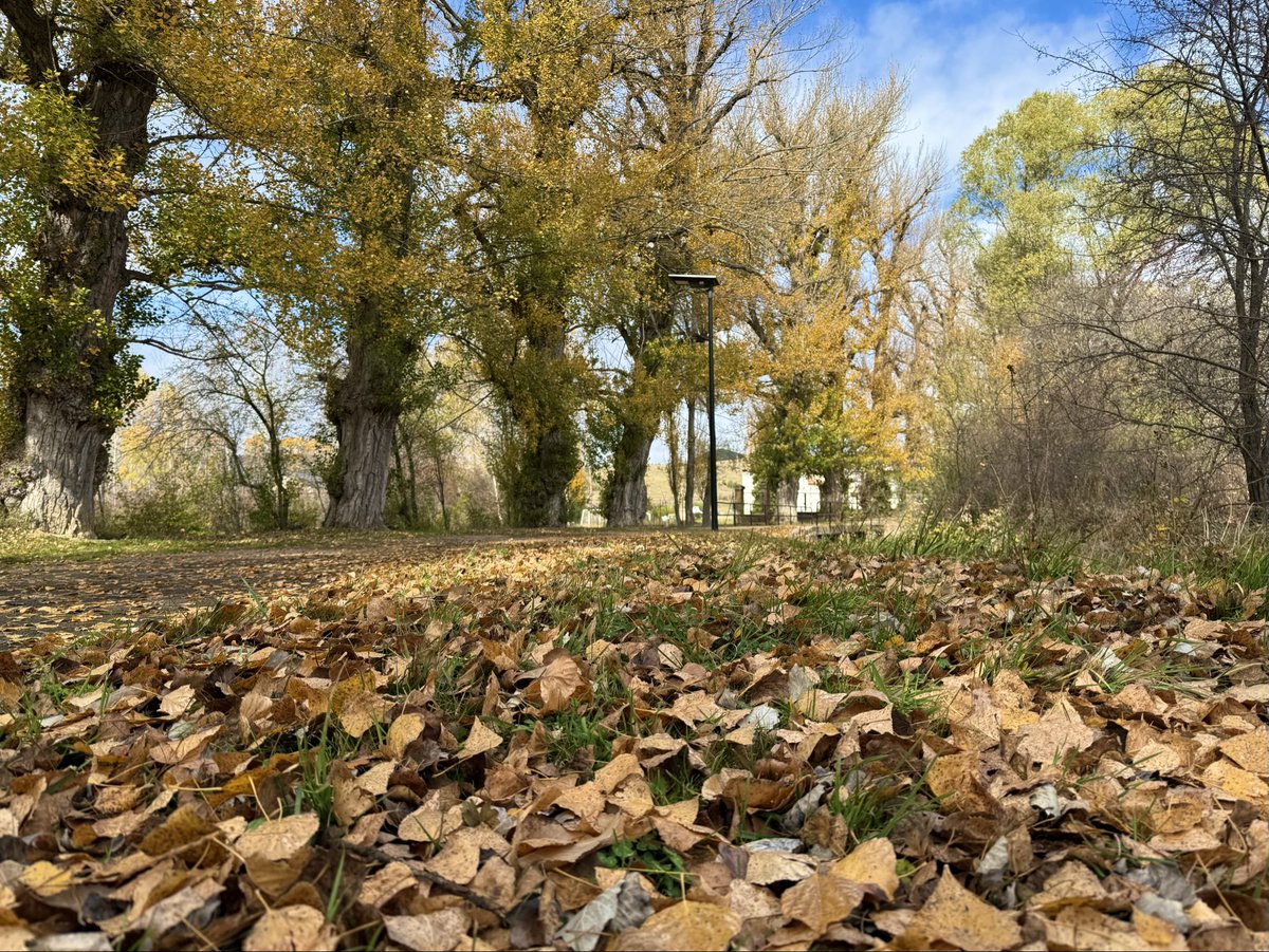 Avanza el #otoño con un día más bien invernal. Alcalá de la Selva #Teruel
Autor <a href="/Adrianherrfos/">Adrian HF</a> 

<a href="/meteo_aragon/">Meteo Aragón</a> <a href="/aragontv/">Aragón TV</a> <a href="/tiempobrasero/">Tutiempo</a> <a href="/TeruelMeteo/">TeruelMeteo</a> <a href="/TeruelMemes/">Teruel Memes</a> <a href="/aragonturismo/">Turismo de Aragón</a> <a href="/rrequenab/">Rafael Requena</a> <a href="/meteoibericosur/">Manolo Sabater</a> <a href="/apuntoratge/">À Punt Oratge</a>