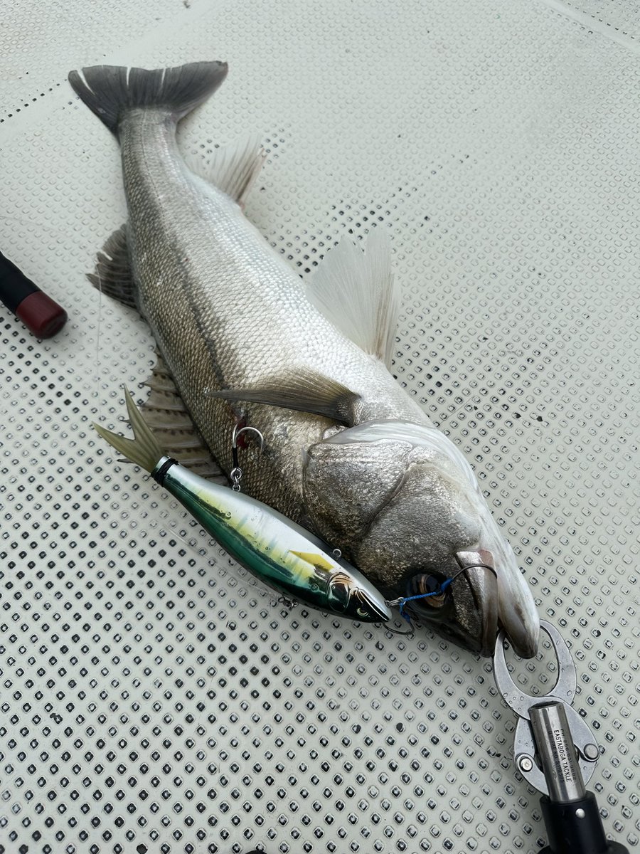 salsation トップ RUST Lサイズ salsation トップ RUST Lサイズ