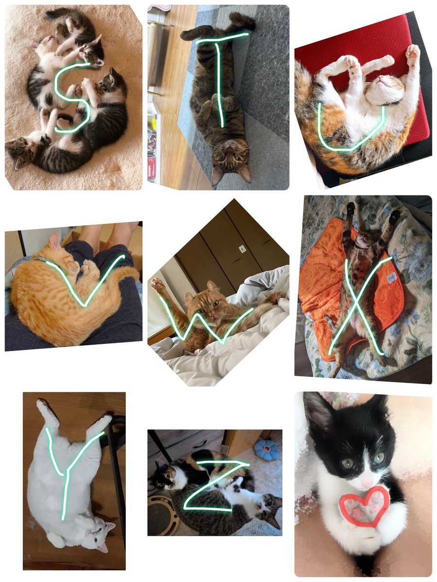 634@ちゃん澪 (@chan634yen) / Posts / X