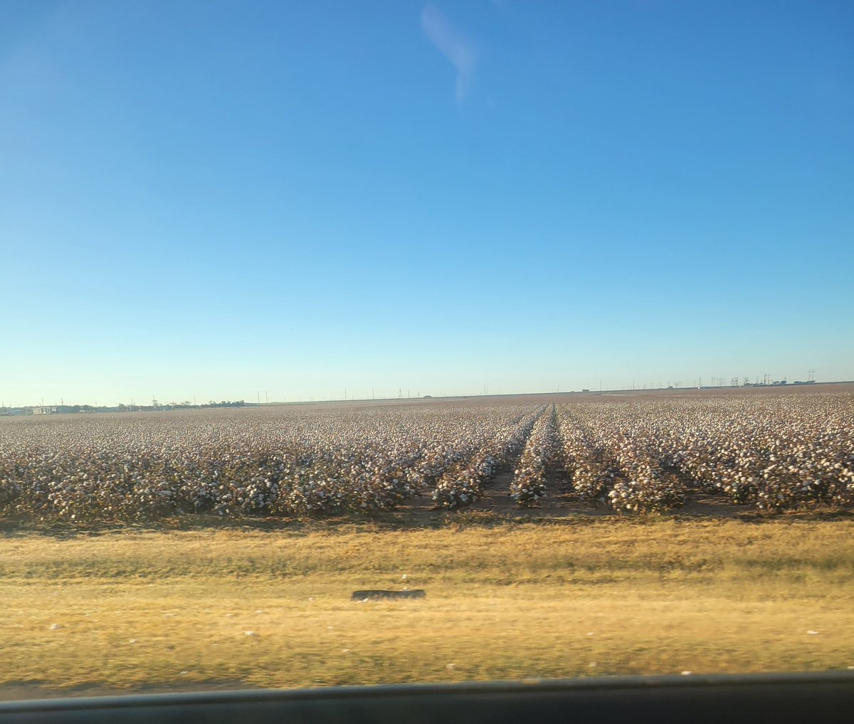 Everything about this is a perfect reflection of God's provision combined with the pure grit and determination of West Texas.