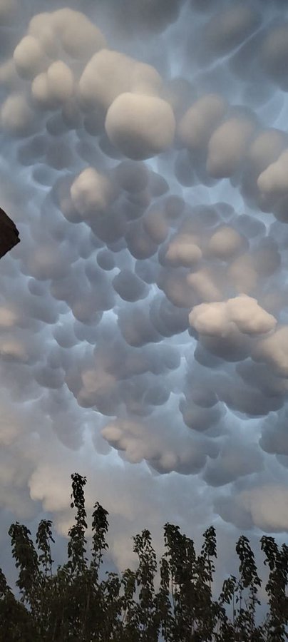 ☁️ Nubes Mammatus - 23 octubre 2025
Corral de Bustos, Córdoba, Argentina. 🇦🇷