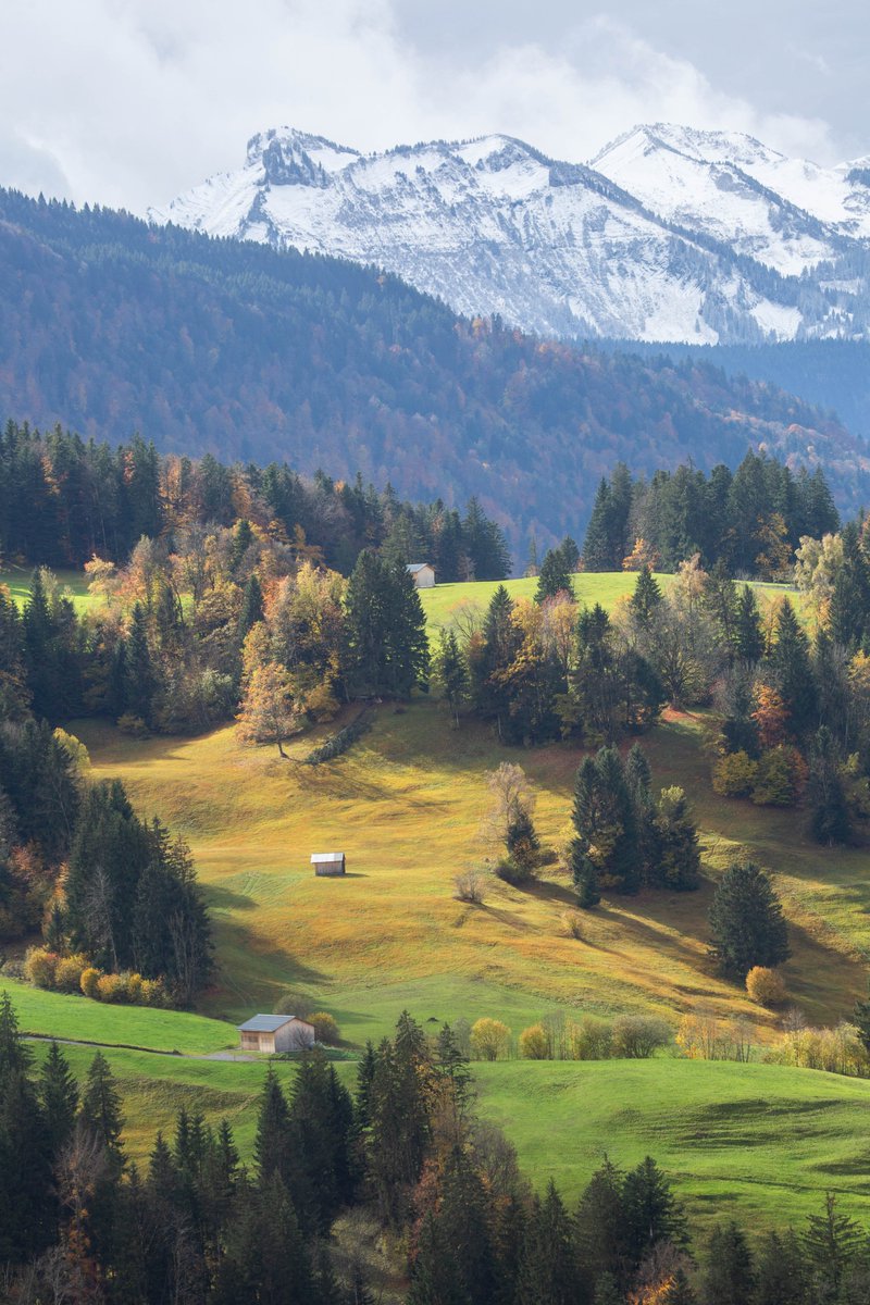 Conrad Amber tweet media