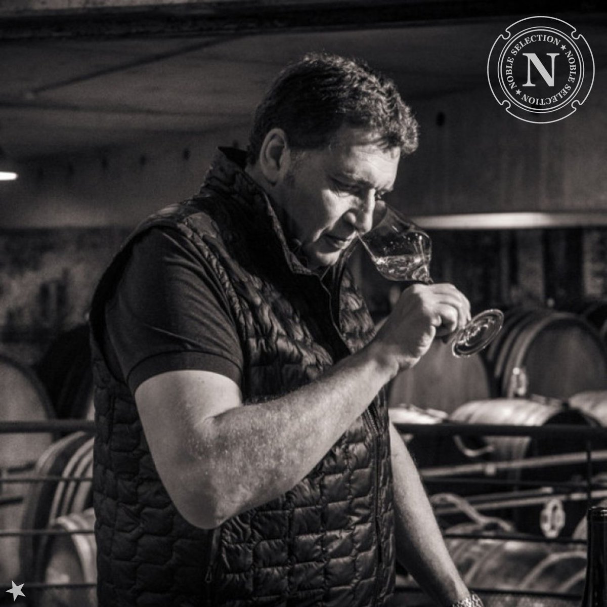 Noble Sélection tweet media