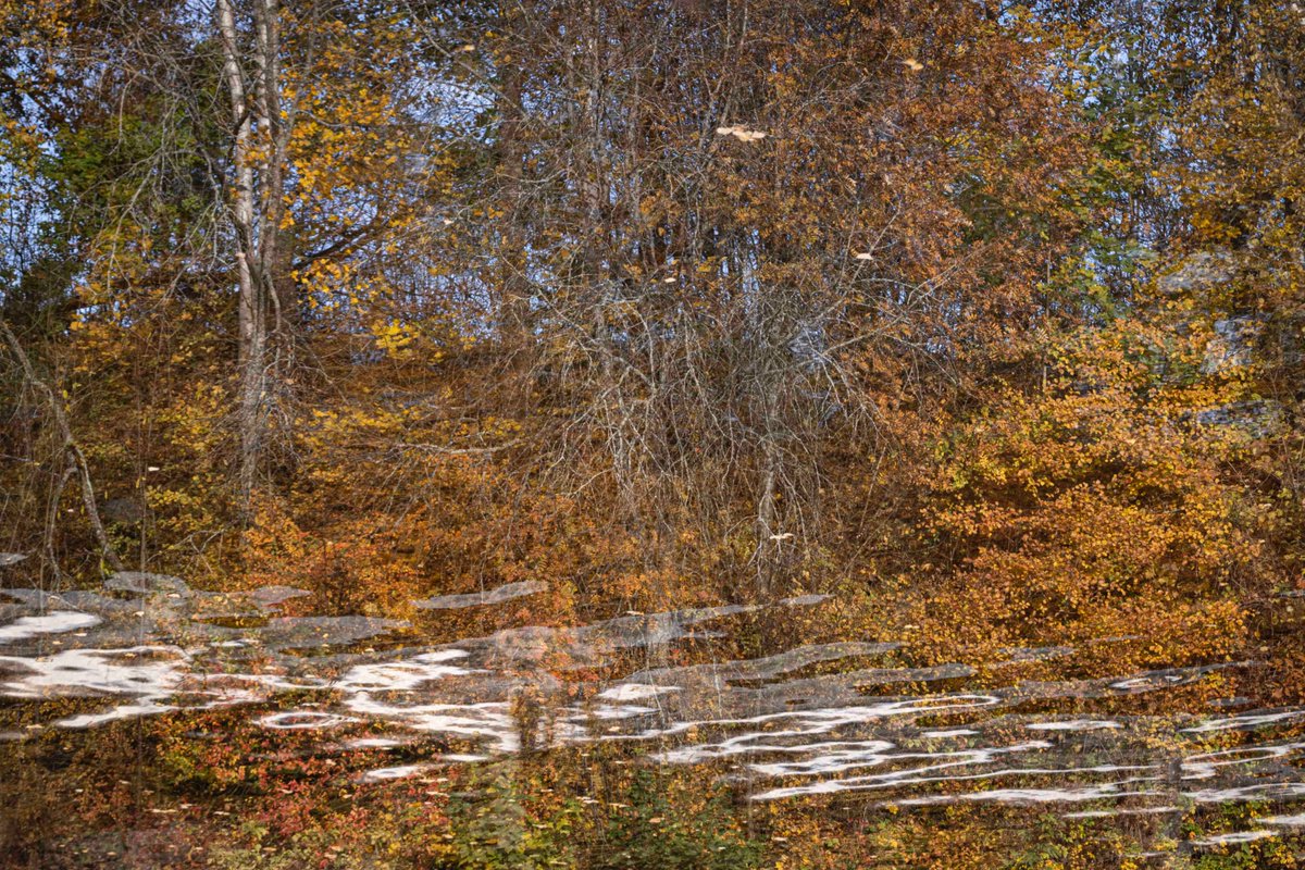 Mirja_Paljakka's tweet image. Veden taikaa | Magic of water

#mp_seasonal #waterreflection #reflection
 #fineartphotography #experimentalphotography #thisisfinland
