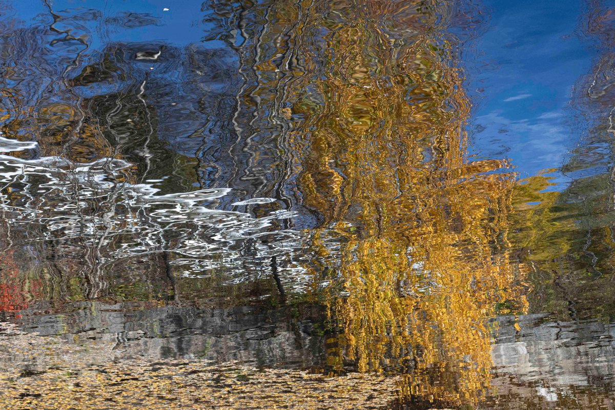 Mirja_Paljakka's tweet image. Veden taikaa | Magic of water

#mp_seasonal #waterreflection #reflection
 #fineartphotography #experimentalphotography #thisisfinland