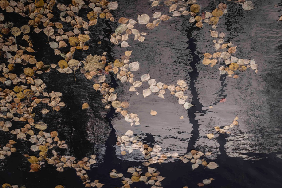 Mirja_Paljakka's tweet image. Veden taikaa | Magic of water

#mp_seasonal #waterreflection #reflection
 #fineartphotography #experimentalphotography #thisisfinland