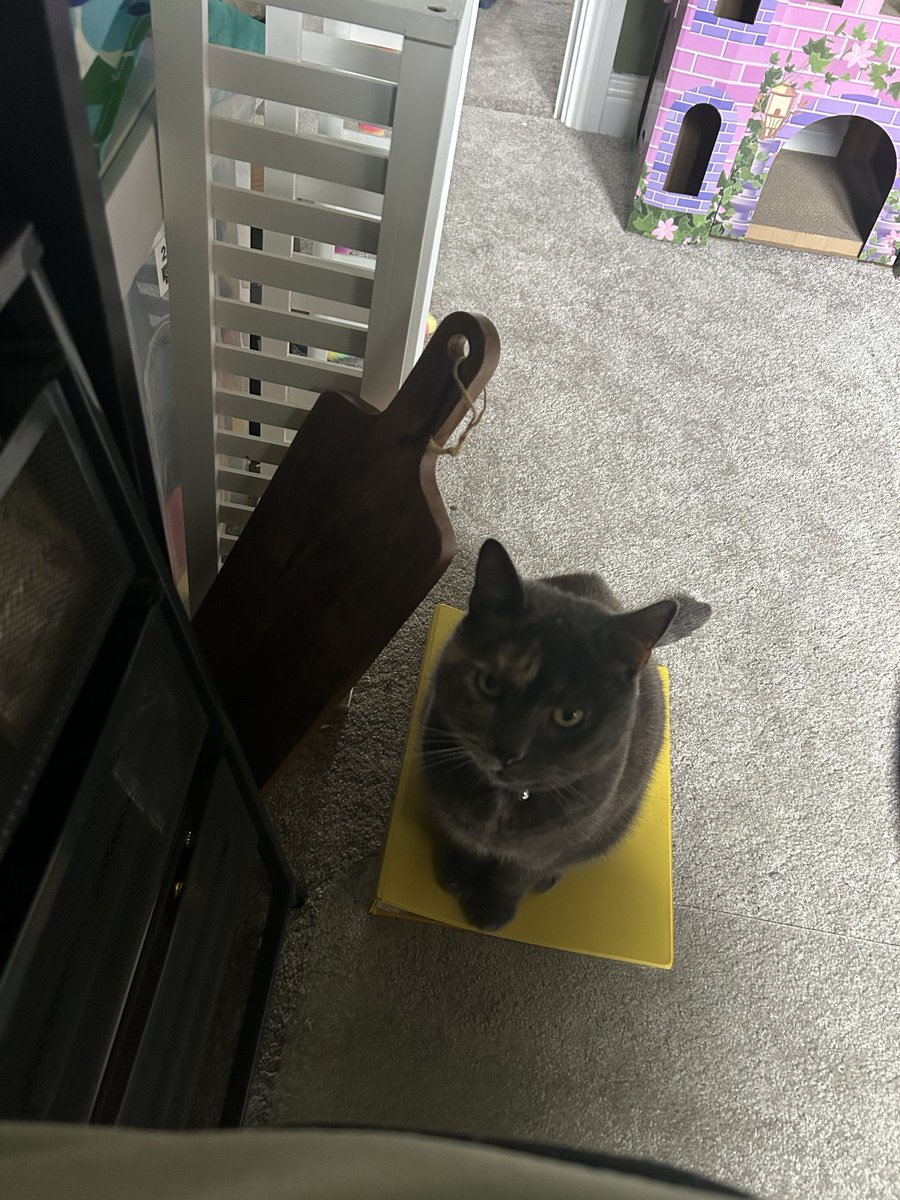 Could sit anywhere, sits on my assignment notes