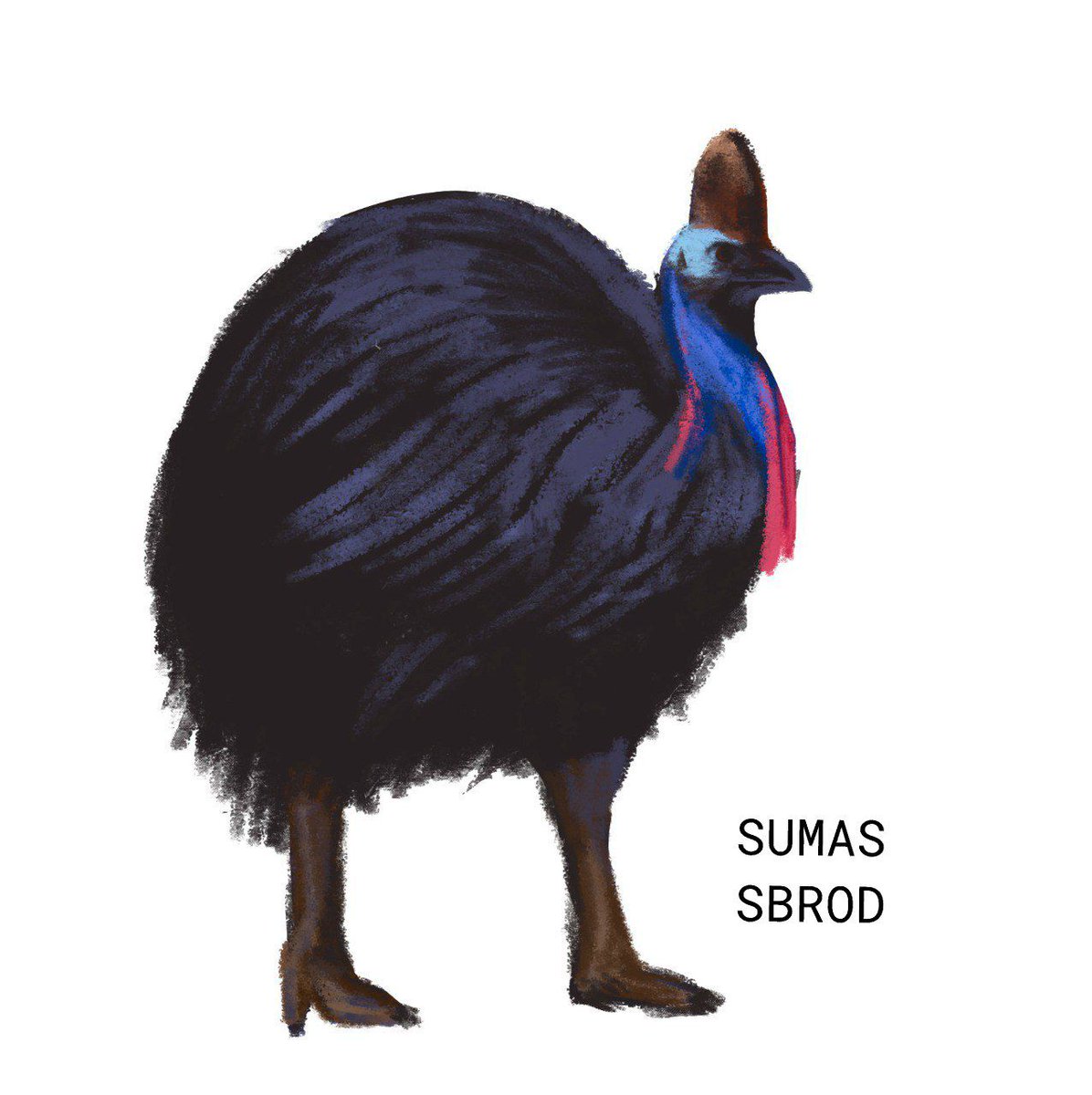 Sumassbrod tweet media