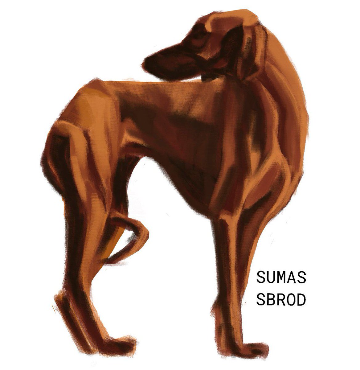 Sumassbrod tweet media