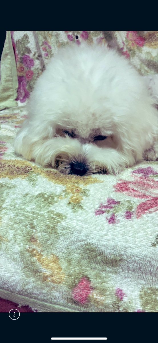 ちいこ (@chi_ko0529) / Posts / X