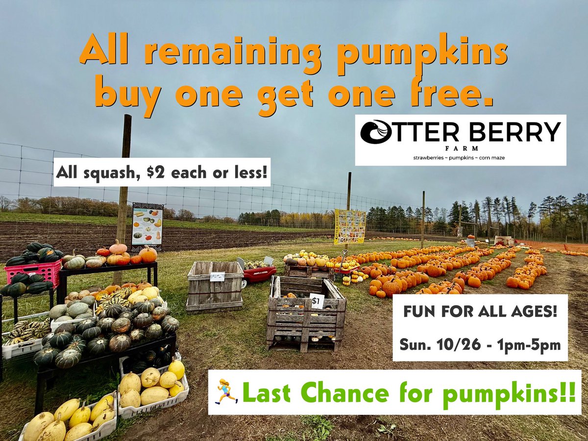 Otter Berry Farm tweet media