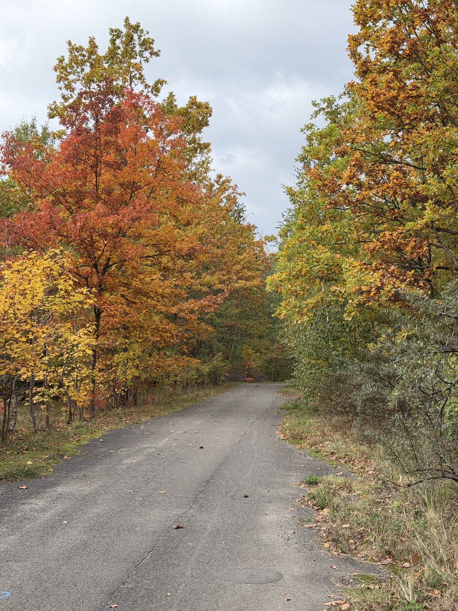 natella_eth's tweet photo. autumn 🍂🤎 https://t.co/qMmAg4gq5M