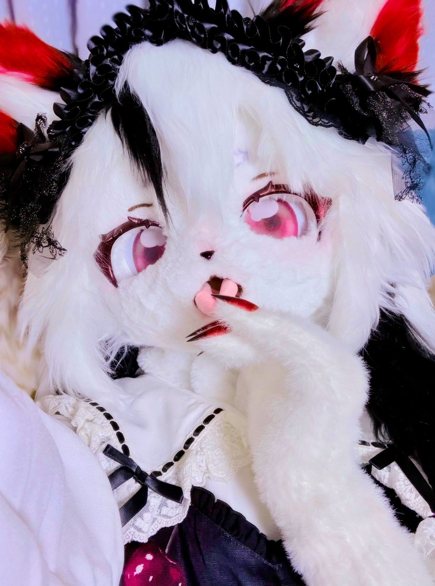 🐱もふ猫🐱次回未定 (@s_h19891024) / Posts / X