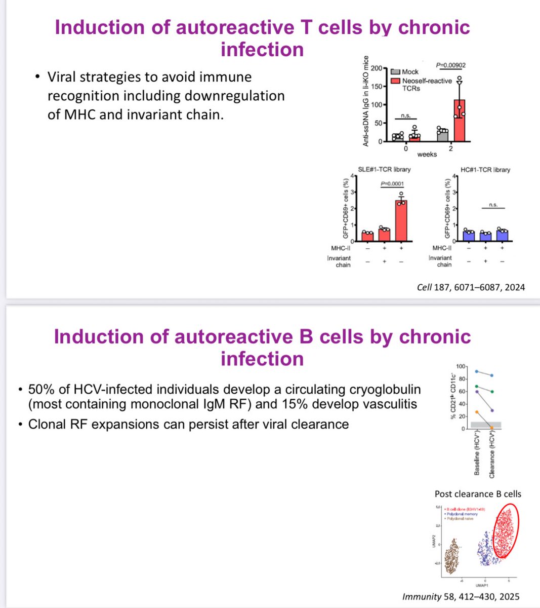 RoxOsler's tweet image. #YearinReview #ACR25 #BasicScience
Chronic infections and gut microbes can trigger autoimmunity.
Viruses activate autoreactive T/B cells, while Enterococcus gallinarum and other pathobionts translocate from the gut, inducing IL-17 and systemic inflammation in SLE and psoriasis.