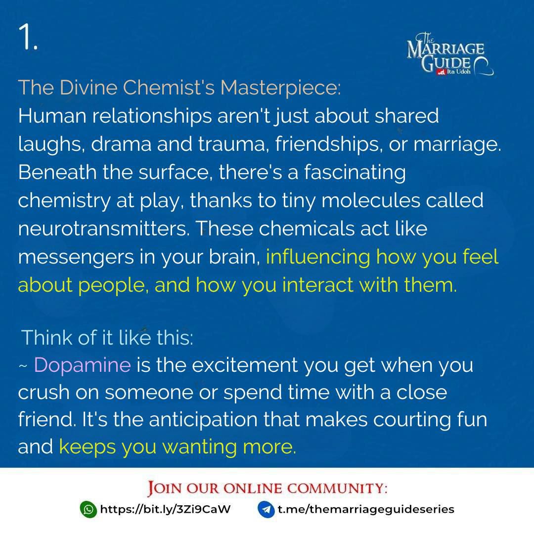The Marriage Guide Series tweet media