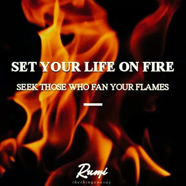 Fantasea777's tweet photo. Dear followers,
thank you to those that make me laugh
to those who uplift and encourage me
to the people that bring me warm smiles
and to those who test my patience
helping to strengthen my character
and catalyze my growth
thank you to those that inspire passion
and fan the flames of my fire
to me, passion is the essence of vivacious vitality

I appreciate your support 💖