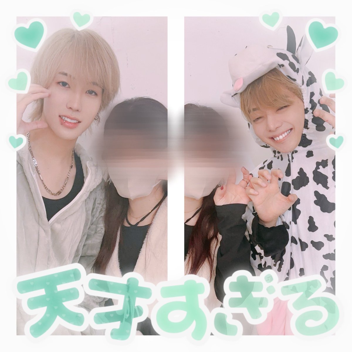 うたん 🐝 tweet media