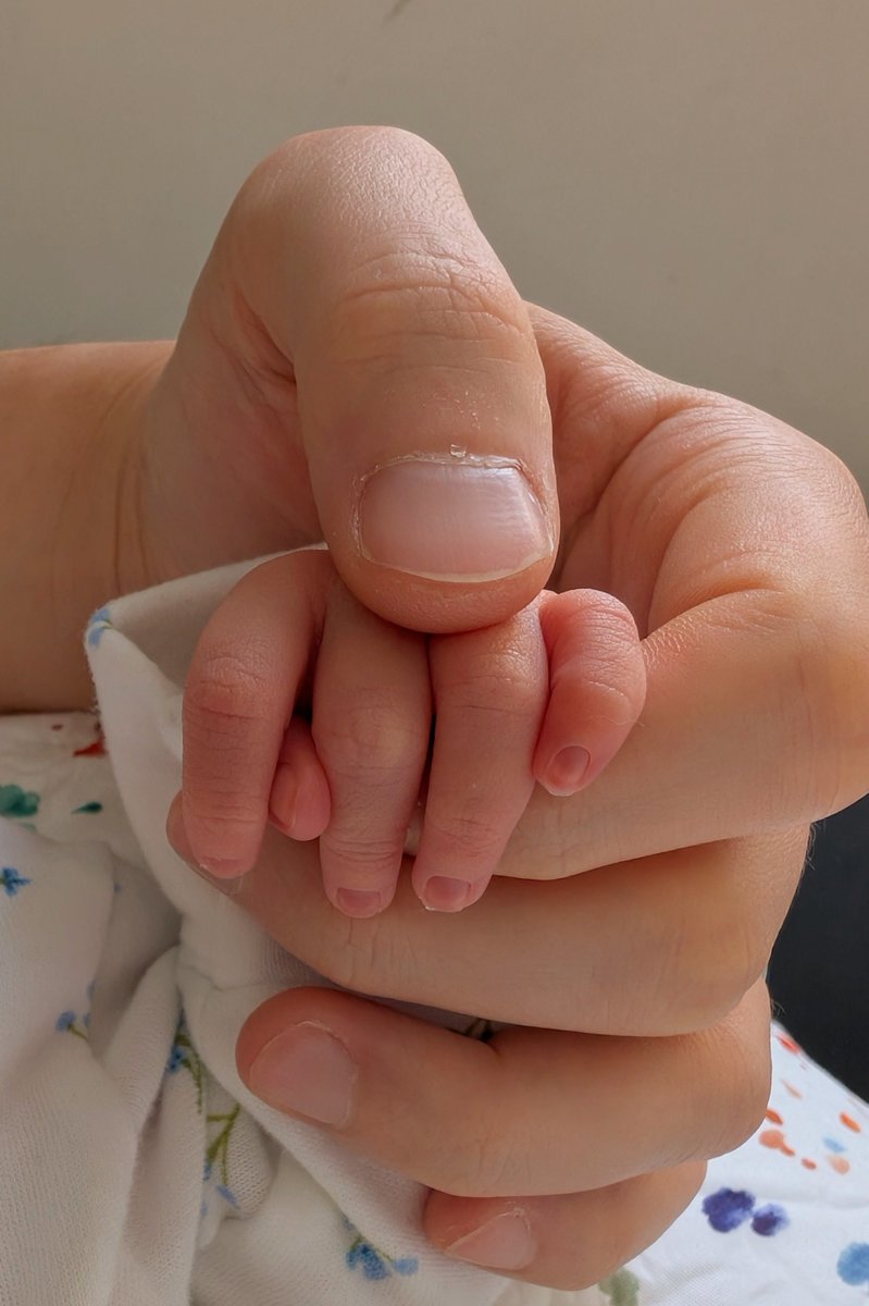 𝙃𝙖𝙮𝙯 tweet media