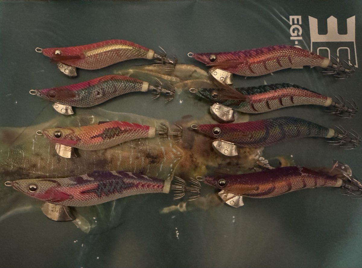 ドブ川スージー (@dobugawa_suzy) / Posts / X