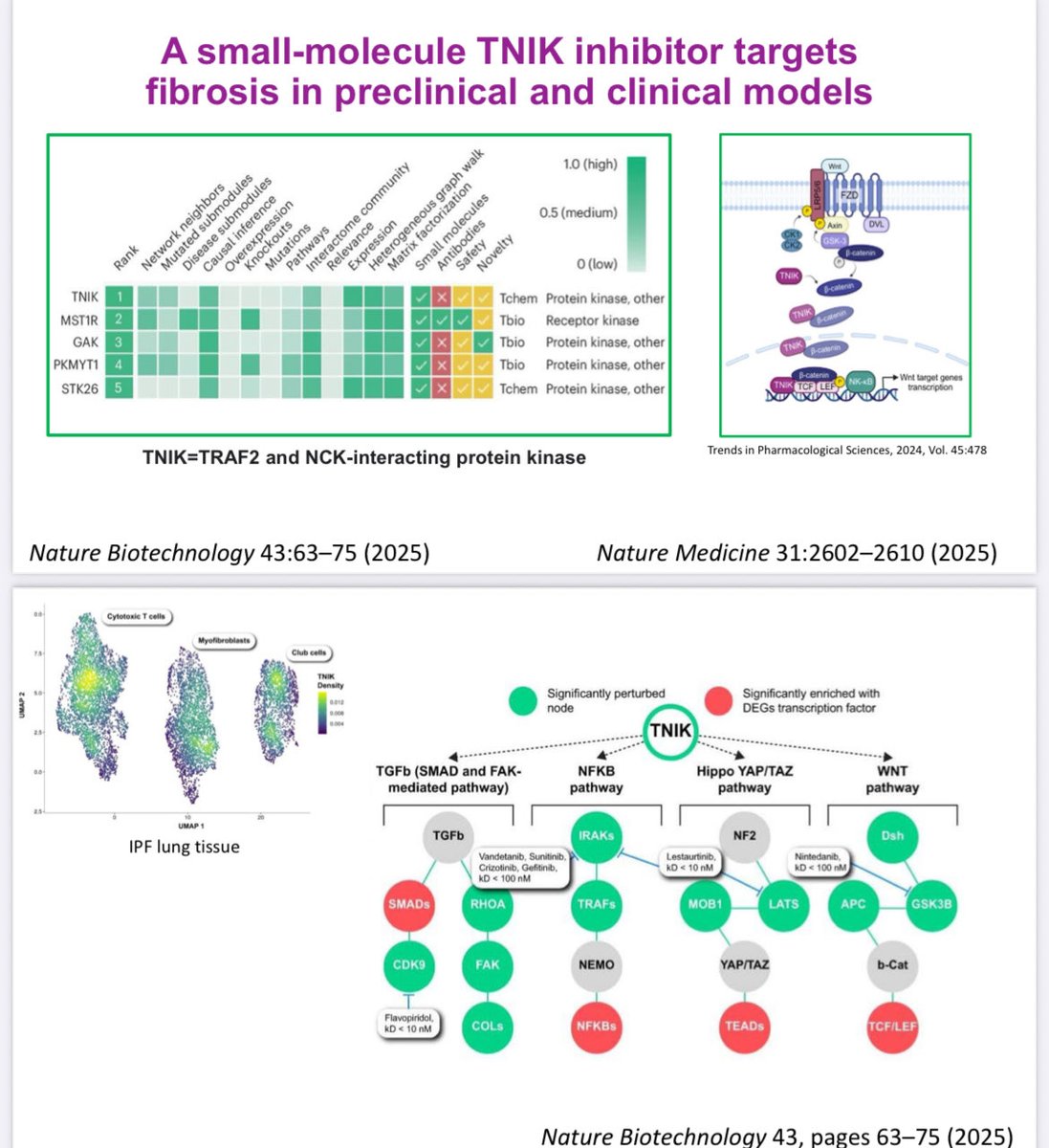 RoxOsler's tweet image. #YearinReview #ACR25 #BasicScience
AI is now designing drugs: a generative AI–discovered TNIK inhibitor reduces pulmonary fibrosis, paving the way for precision therapies.
Multi-omic models like BioMapAI reveal links between tryptophan metabolism and chronic fatigue syndrome.