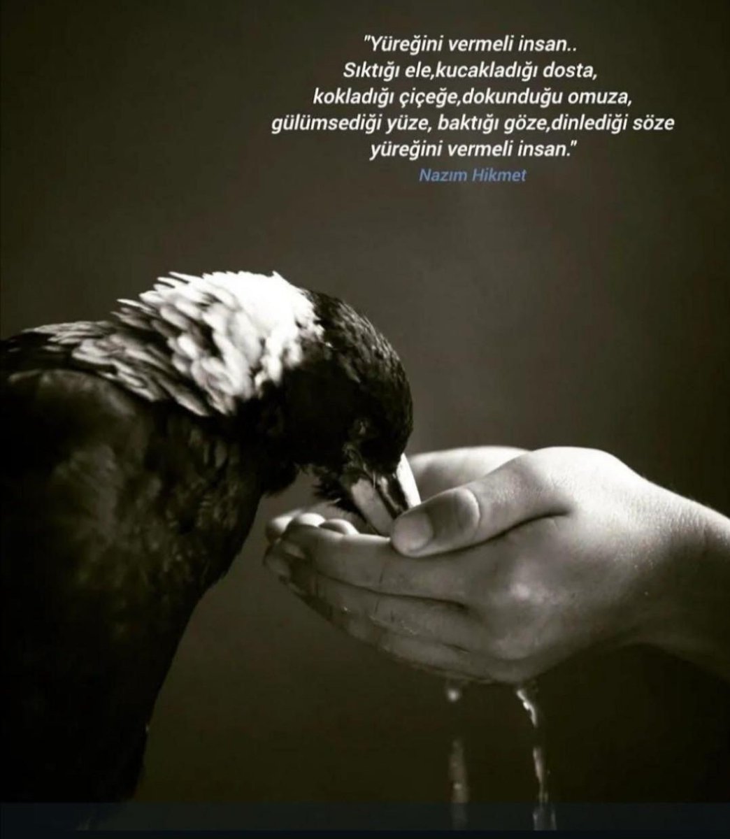 Prof.Dr. Recep Çetin (@drrecepcetin) on Twitter photo 