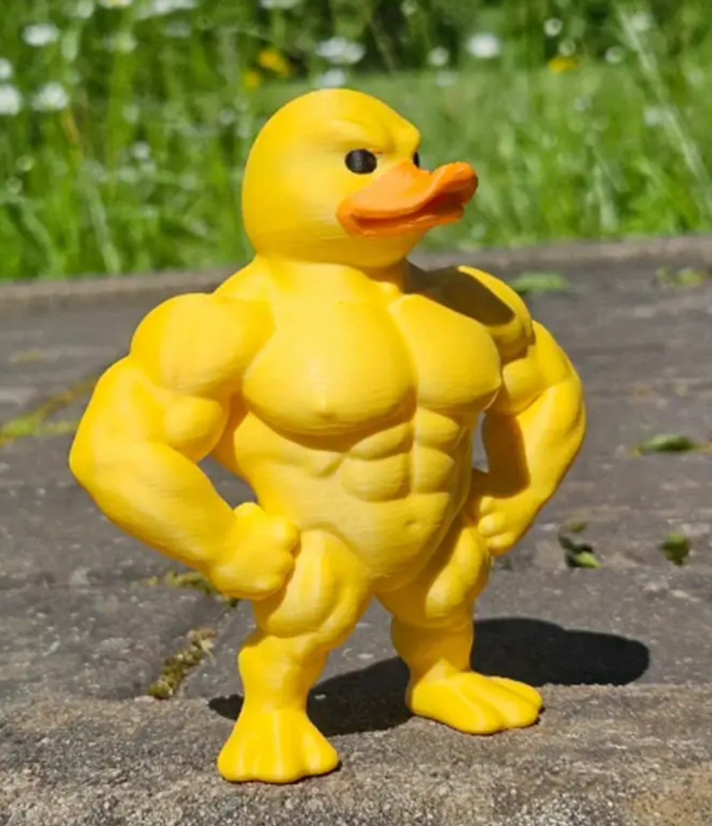 gaisericKOTV's tweet image. I see that #DuckDuckGo is getting even better at keeping us safer #Online.
Save us from the likes of #Google & Co harvesting all our #information endlessly.
