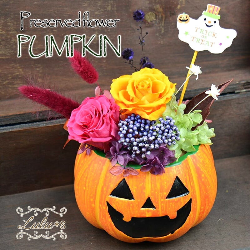 メグミノーグ🌸⚽ on X