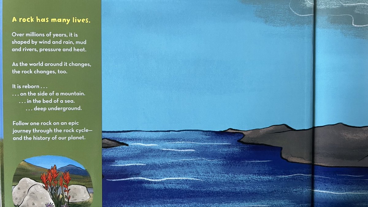 Melaney Sanchez tweet media