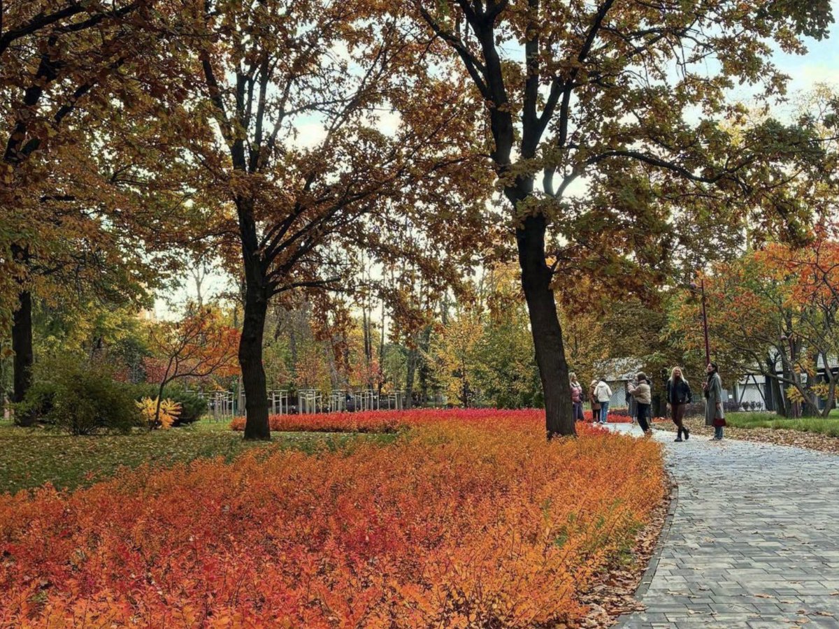 Менің дос қызым, достарымыз және оңтүстікте демалып жатқан порно видео.