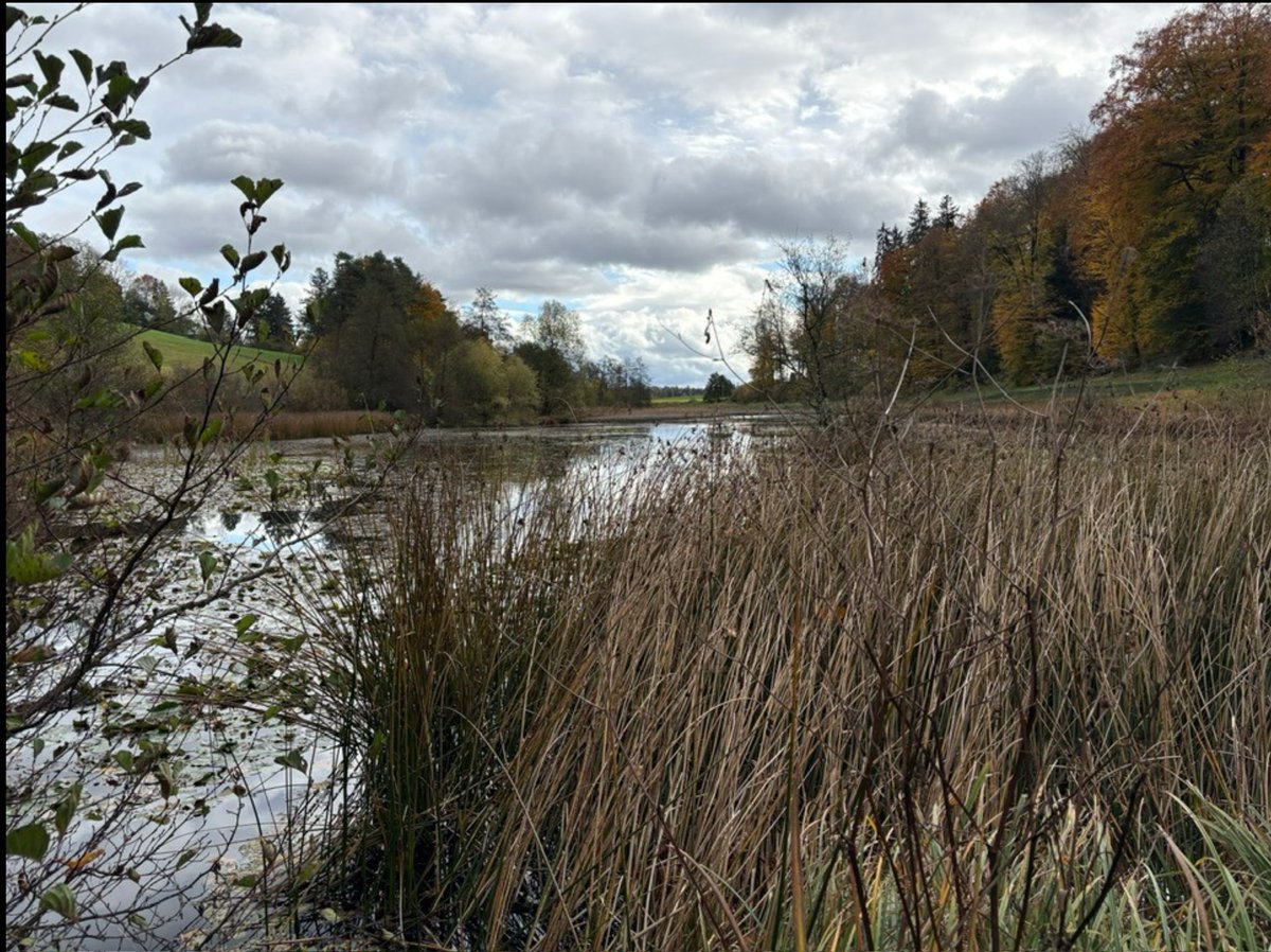 Auch unser Eigental…. 📷📷📷