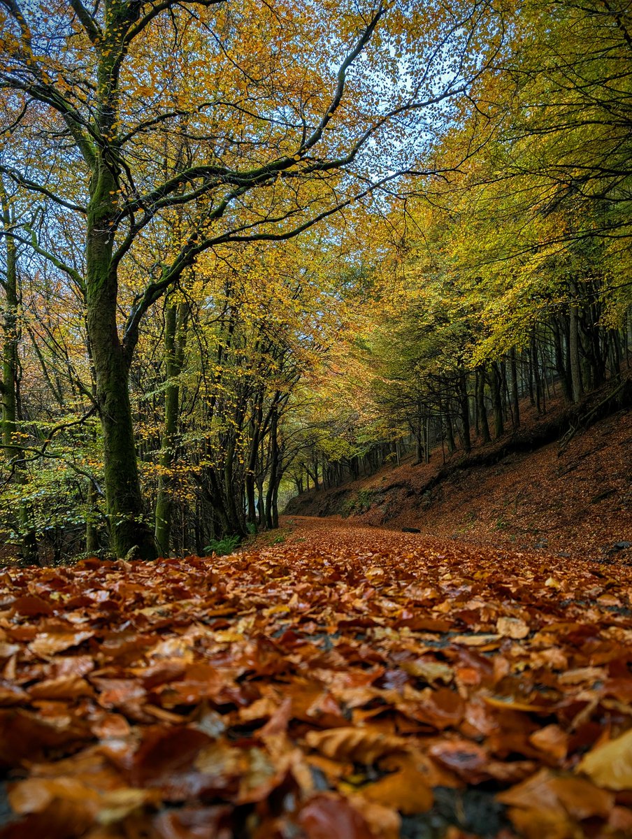 Najlepsza pora roku.