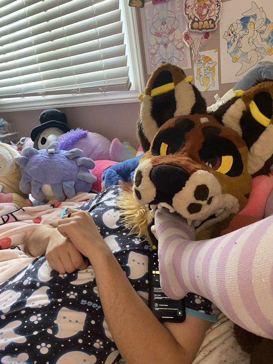 Booper Bad Dog~ 🔜FE tweet media