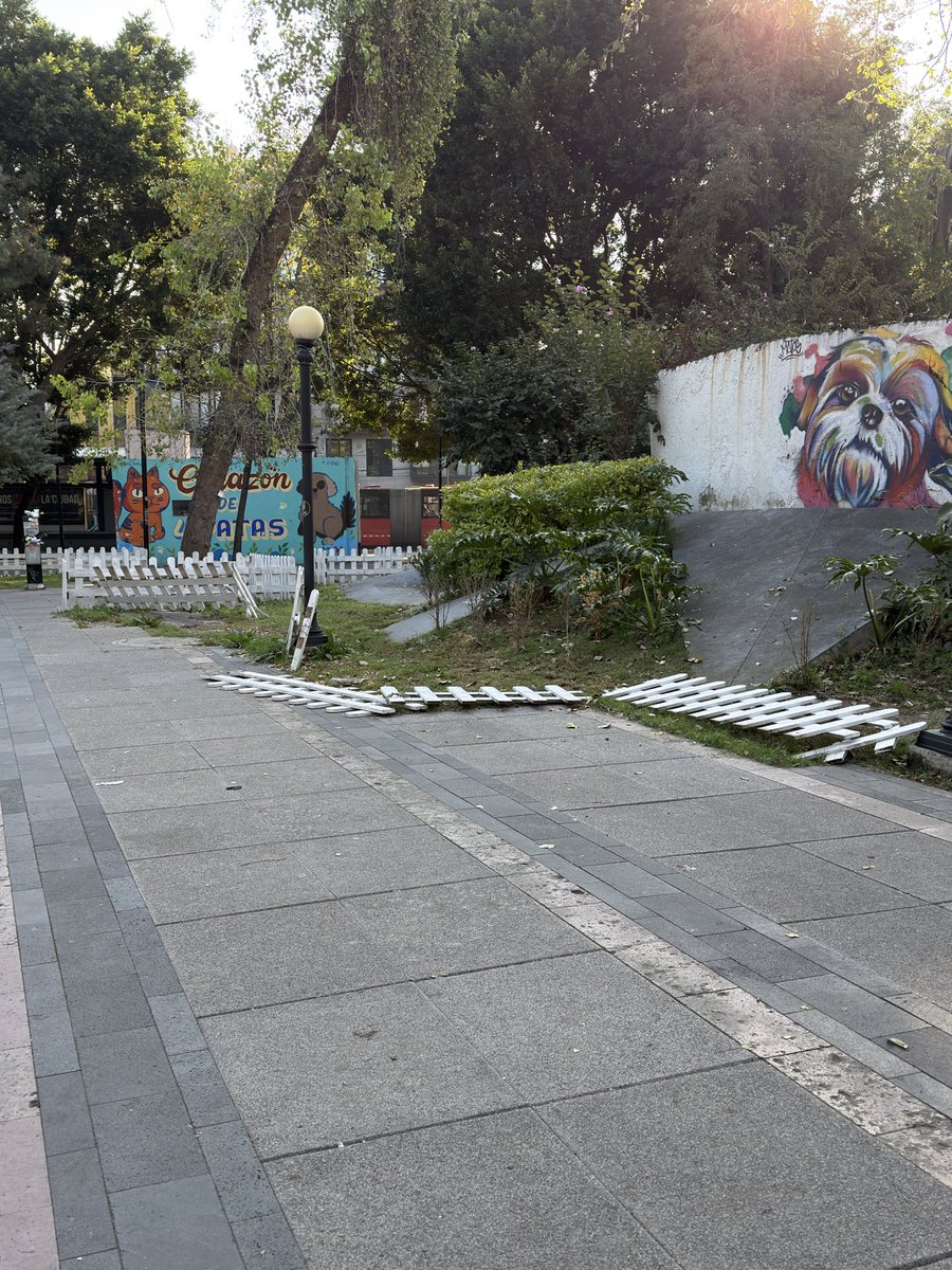 Muy padre la función de cine y todo…

Pero al desmontar su carpa, ya fregaron todas las cercas que vecinos habían ayudado a reparar con la alcaldía. 

<a href="/AlessandraRdlv/">Alessandra Rojo de la Vega</a> <a href="/AlcCuauhtemocMx/">Alcaldía Cuauhtémoc</a> <a href="/Conpuroamo90224/">Sandra Estrada</a> <a href="/pzaluiscabrera/">Plaza Luis Cabrera</a> <a href="/PlazaRomita/">Plaza Romita</a> <a href="/erikayazminrg/">ErikaRg</a>