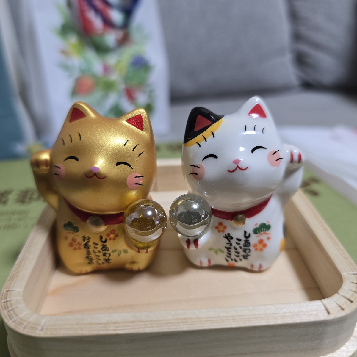 かばこ@愛知初日🖐💙 on X